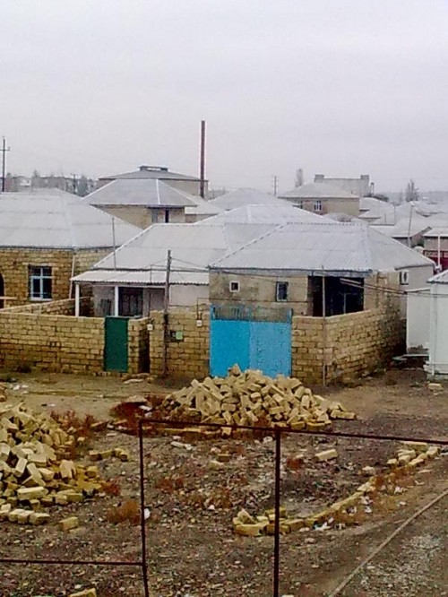 Новое изображение-1