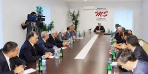 MŞ