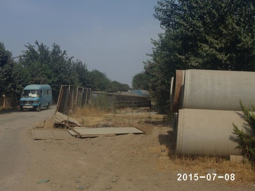 biləsuvar12