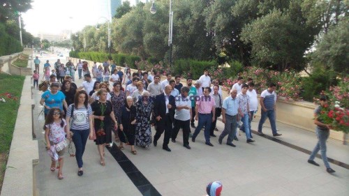 img1846775 (1)