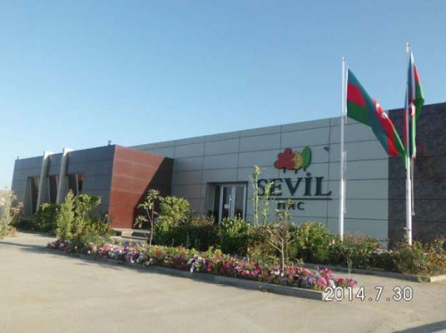sevil mtk
