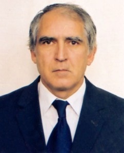 vidadi