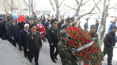 sehidin defni