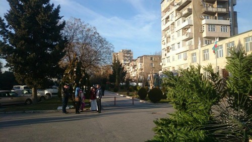 yapın yolkası