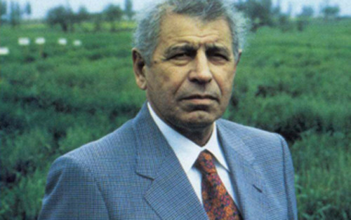 celal eliyev