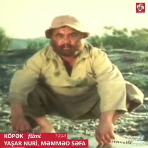 kopek2