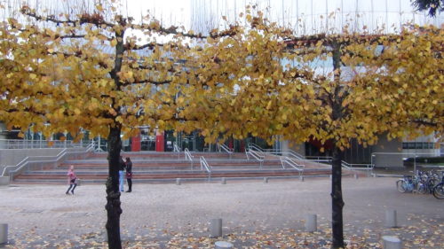 dsc06211