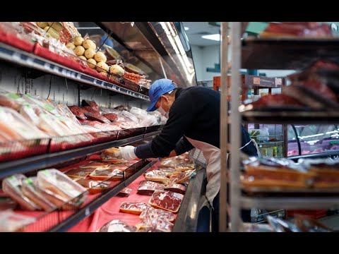 MONQOL ƏTİNİ AZƏRBAYCANA KİM VƏ NİYƏ GƏTİRİR?