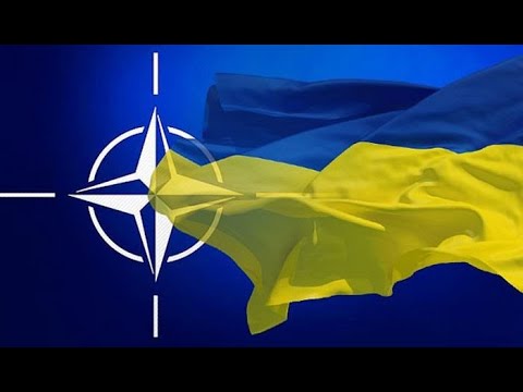 NATO: RUSİYA TƏCAVÜZKARDIR!