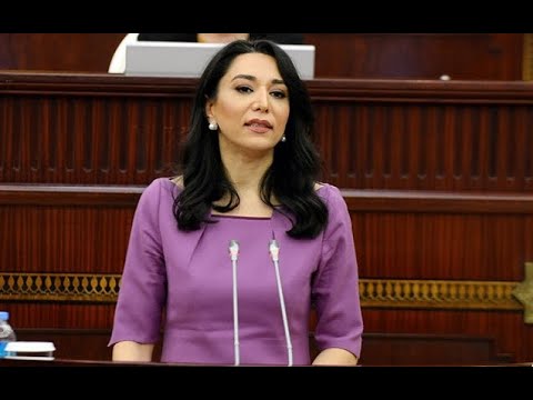 OMBUDSMAN ÇOX SƏRT DANIŞDI: CƏZALANDIRILMALIDIRLAR!