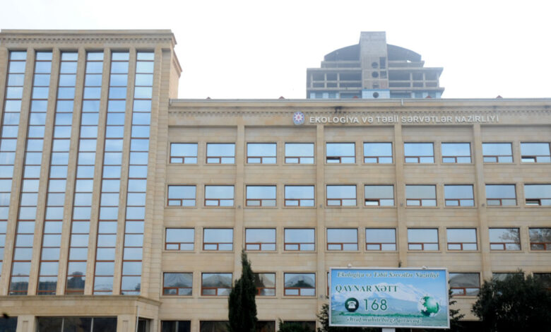 Ağac kəsiminə görə ittiham olunanların içərisində klinika da var