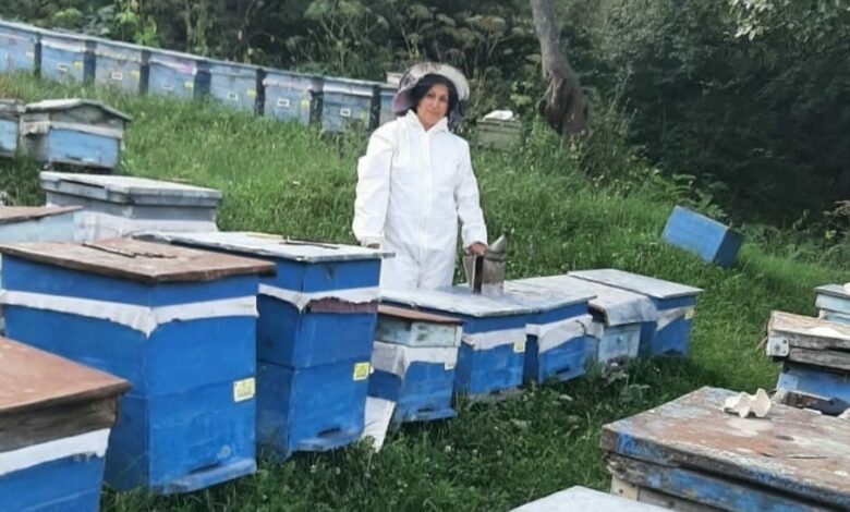 Arıçı: “Təmiz arı südünün satışına aldanmayın”