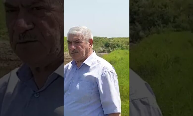 BİLƏSUVARDA SKANDAL: ZAUR MİKAYILOV, HARA BAXIRSAN?!