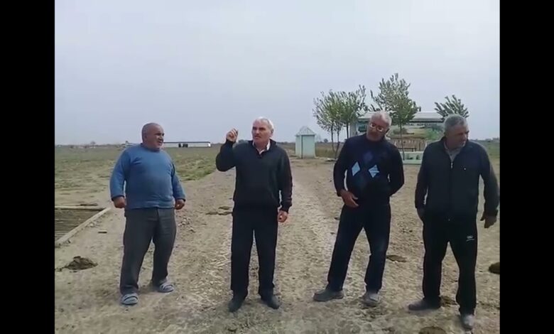 NEFTÇALADA - SƏLİMOV ƏLİBALA İLƏ NİYƏ KİMSƏ BACARA BİLMİR?!