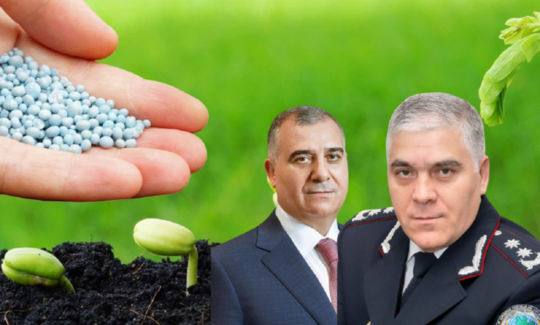Qəbələ sakini: “Bir şirkətin anbarından başqa şirkətin işçiləri hədə-qorxu ilə 216 ton gübrə apardılar”