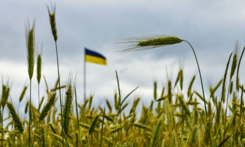 Ukrayna yenidən taxil ixracını dayandırmağa məcbur olduğunu bildirir