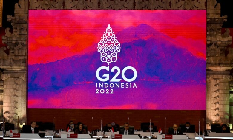 Aİ və Böyük Britaniya G20 sammitində Rusiyanı boykot etmək istəyir