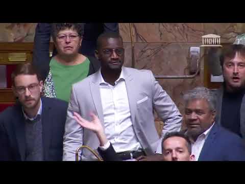 Fransız deputatın NUPES-in deputatına “Afrikaya qayıt” deməsi, məclisi belə şoka saldı