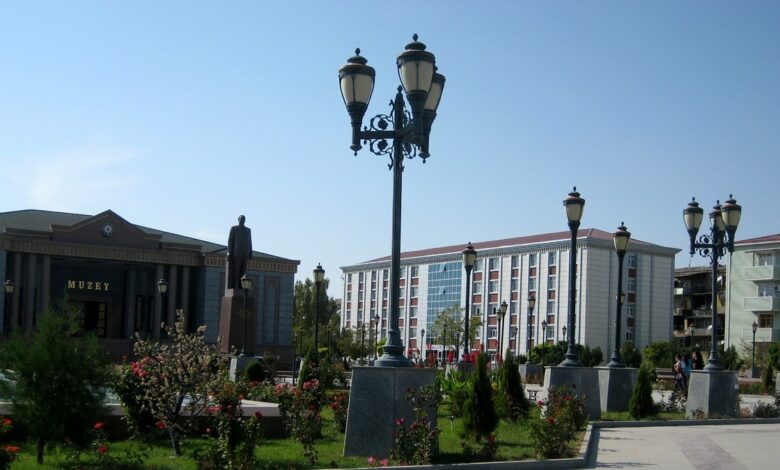 Naxçıvanda taksi sürücülərinin aksiyası