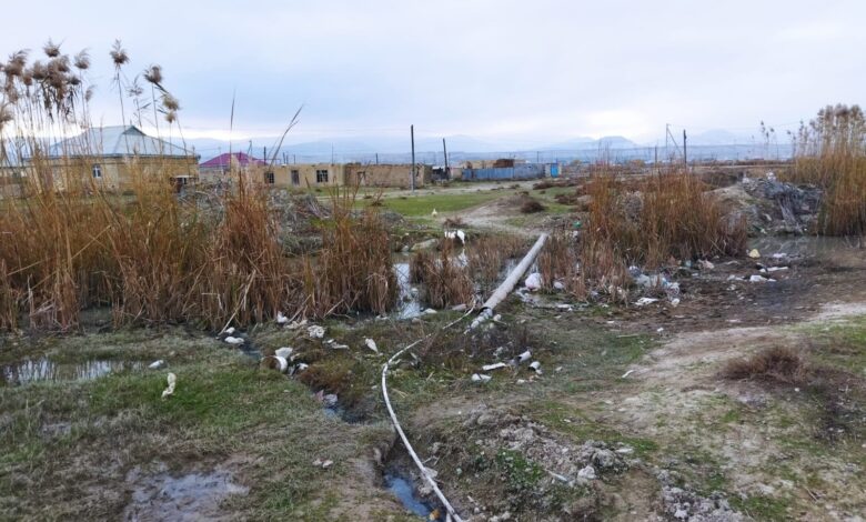 “Xızıda toyuq-cücə üçün yol çəkilib, adamlar üçün yox”