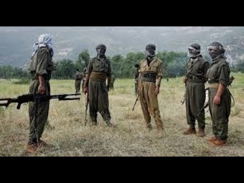 NAXÇIVANDA PKK-NIN HƏRBİ HİSSƏSİ VARMI ?