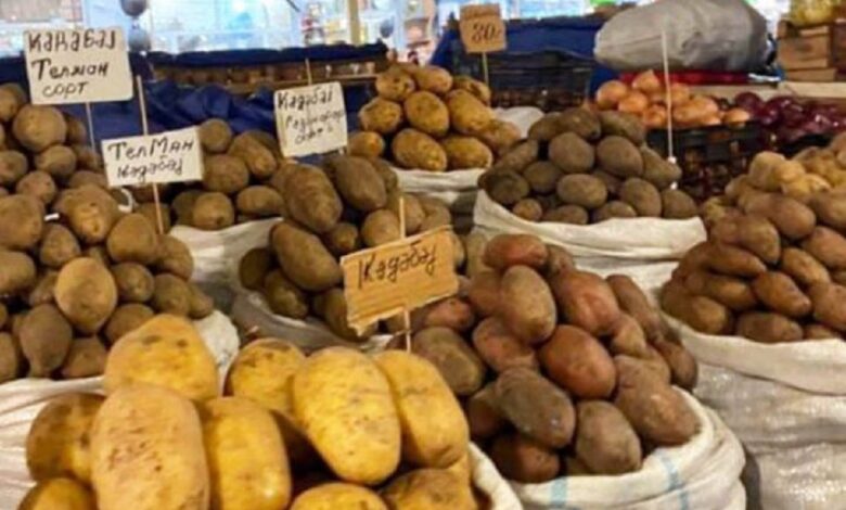 Fermerlər narahatdır: Yerli kartof, alma sortları sıradan çıxır