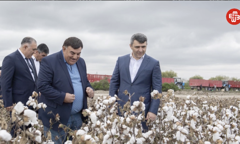 "Neftçalanın prezidenti keçmiş bələdiyyə sədri Əlibaladır"