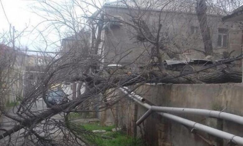 Qaxda 20-dən çox evi sel basıb