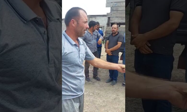 "ÖLÜ QOYUNLARI BİZƏ SIRIYIRLAR, BUDUR HAKİMİYYƏTİN YARDIMI?"