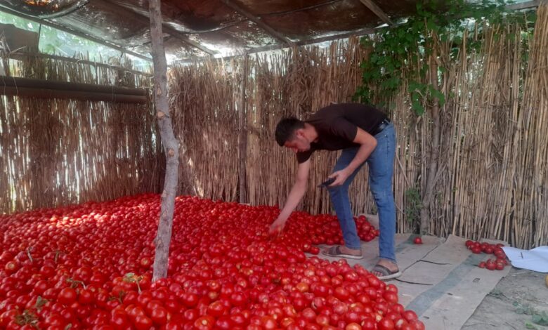 Aldadıldığını deyən göyçaylılar külli miqdarda ziyan ediblər