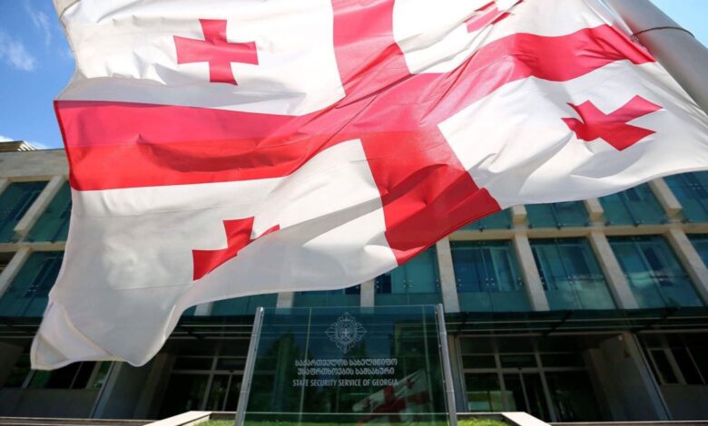 DTX Gürcüstanda çevrilişin hazırlandığını deyir