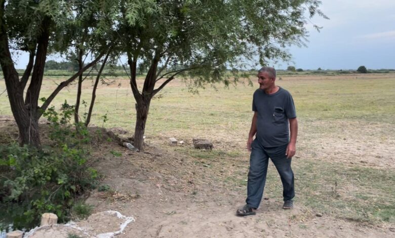 Azərbaycanda 3.7 milyon əhalinin işsiz hesab edilməməsində şübhələr