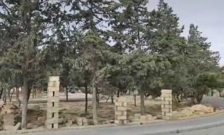 Nizami rayonunun sakinləri narahatdır: Yaşıllıq ərazidə tikinti başlayıb