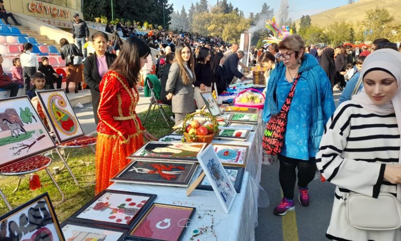 Nərgiz Səmədova: “II qrupdan imtina etdim ki, iş tapa bilim”