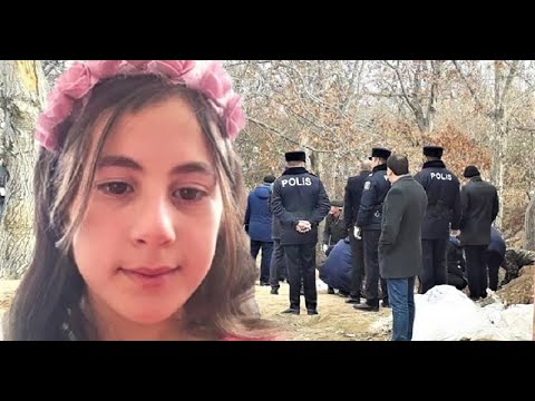 ŞOK: "NƏRMİN CİNAYƏTİ"NDƏ ZAKİR QARALOVUN ROLU NƏ OLUB?