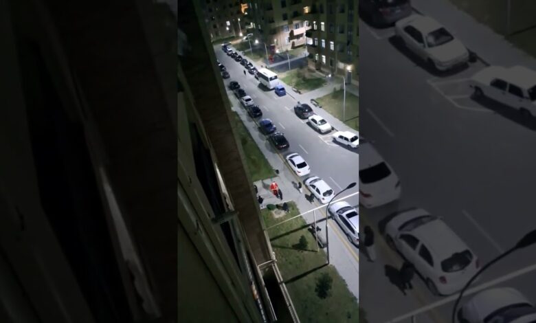 2024-cü ilin ilk trend videosu: "Şaxta baba, mənə..."