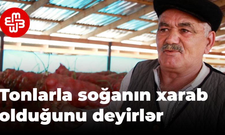 Fermerlər tonlarla soğanın xarab olduğunu deyirlər