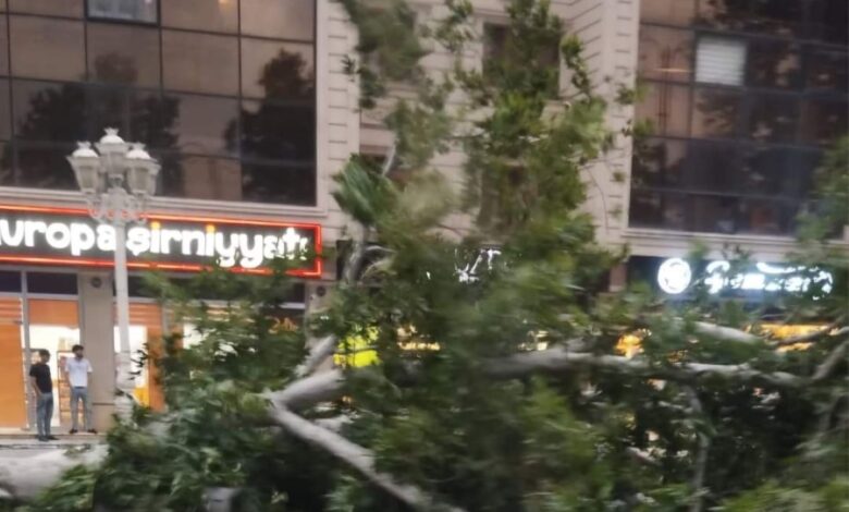 Külək Azərbaycanın Qərb bölgəsində fəsadlar yaradıb: Ölən və yaralananlar var