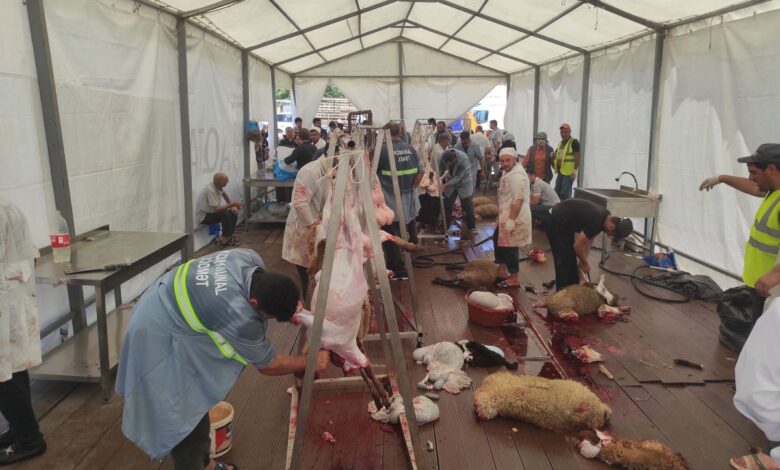 Mənə qurban əti ala bilərsən?..