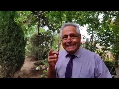 CƏLİLABADIN GÜLMƏMMƏDLİ KƏND SAKİNİ MAHMUD SÜLEYMANOVUN YARATDIĞI "MİLYONLUQ SƏRVƏT"