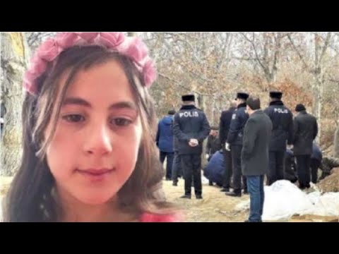 "NƏRMİN CİNAYƏTİ"NİN İLKİN SÜLEYMANOVUN ÜZƏRİNƏ QOYULMASINDA KİMLƏRİN ƏLİ VAR?