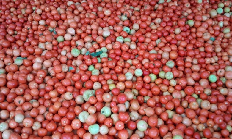Alternativsiz bazar və kəndlini əkindən uzaqlaşdıran monopolistlər