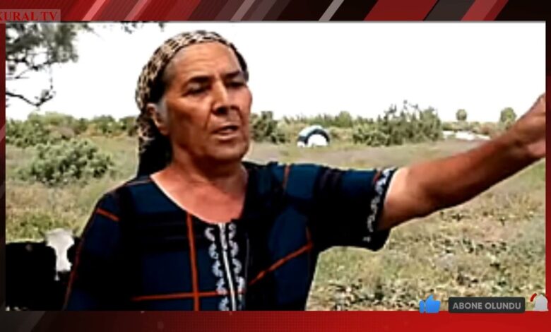 "CAN QOYUB ALDIĞIMIZ TORPAĞI "PULLULAR" BİZƏ VERMİRLƏR..."