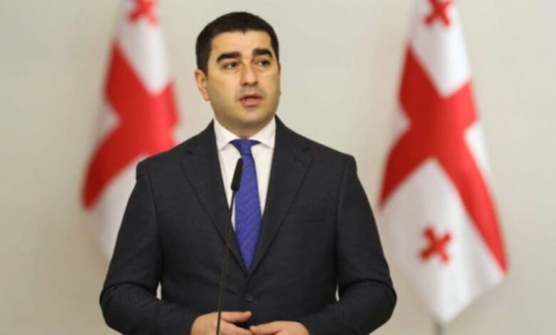 Gürcüstan parlamentinin sədri LGBT hüquqlarını məhdudlaşdıran qanunu imzalayıb