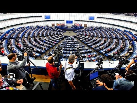 İNSAN HÜQUQLARININ POZULMASI İLƏ BAĞLI AVROPA İRADLARINDA HAQLIDIRMI?