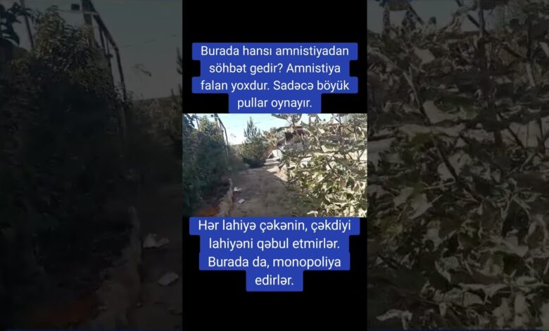 RÜŞVƏT VƏ KORRUPSİYA SAHİBKARI BELƏ MÜFLİSLƏŞDİRİR