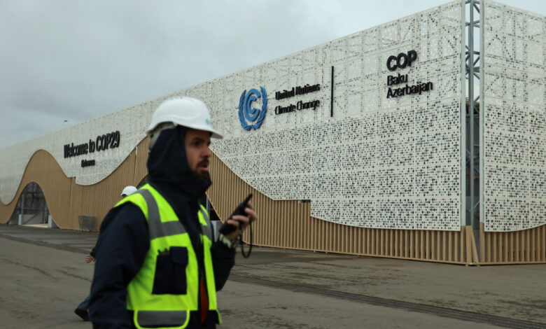 COP29-u təbliğ edən saxta hesablar şəbəkəsi aşkarlanıb