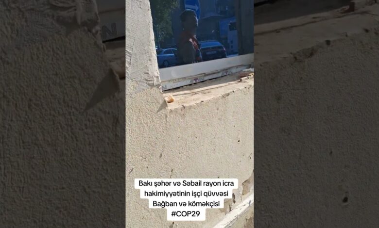 İCRA BAŞÇILARI COP 29 -A BELƏ HAZIRLAŞIRLAR