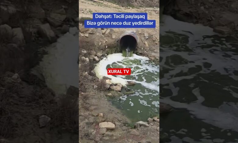 DUZU ZƏHƏRƏ QATIB, İNSANLARA YEDİRİRLƏR