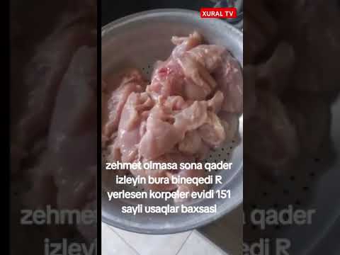 151 saylı körpələr evi-uşaq bağçasında uşaqlara verilən mənşəyi naməlum yeməklər